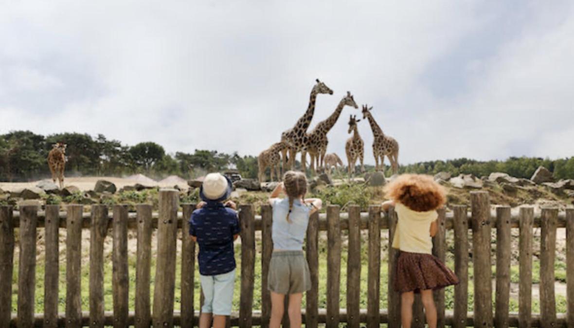 29, Natuurlijk Gelegen Nabij Efteling En Beekse Bergen, Airco & Prive Parkeren Inbegrepen! Oisterwijk Zewnętrze zdjęcie