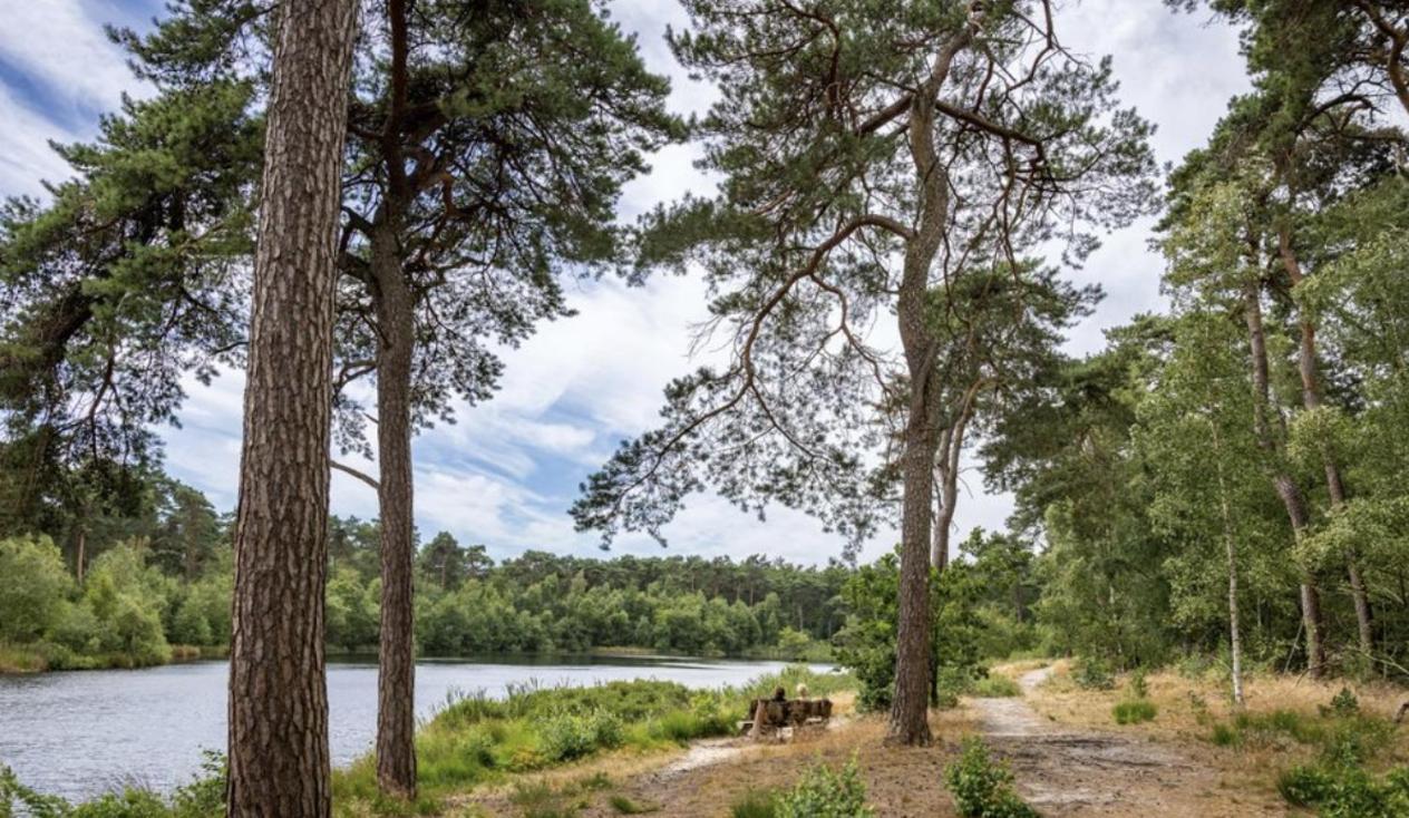 29, Natuurlijk Gelegen Nabij Efteling En Beekse Bergen, Airco & Prive Parkeren Inbegrepen! Oisterwijk Zewnętrze zdjęcie