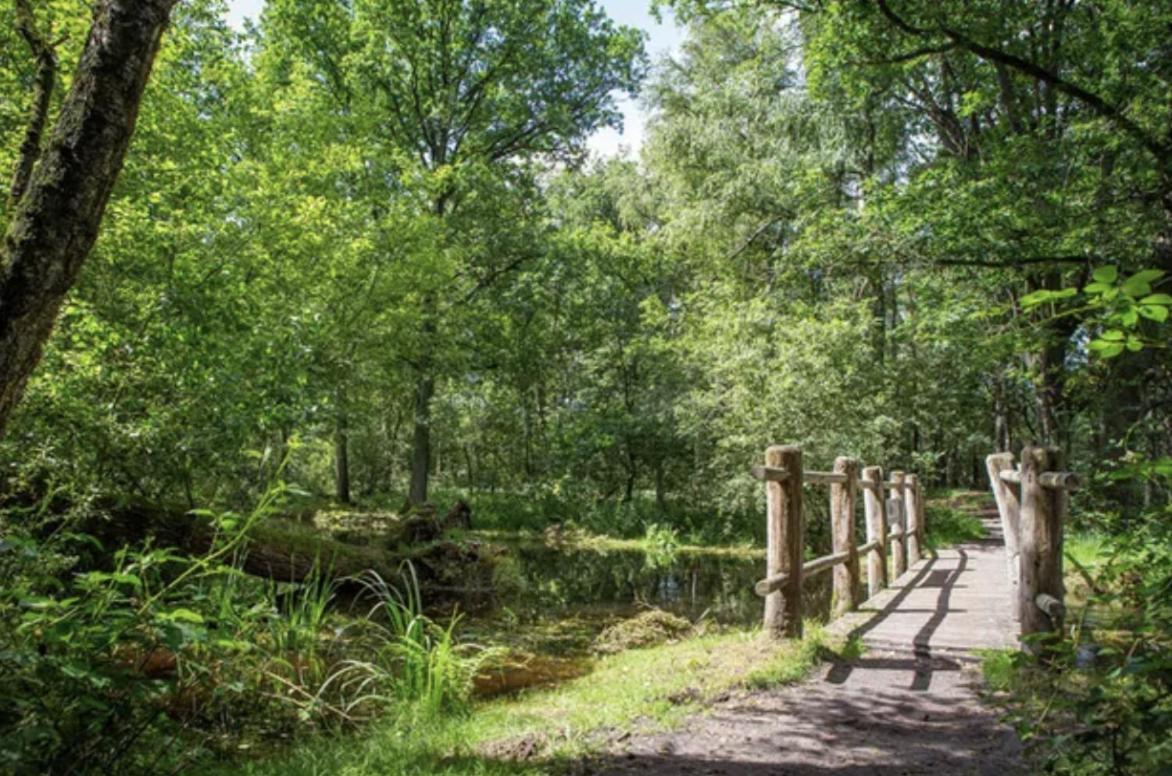 29, Natuurlijk Gelegen Nabij Efteling En Beekse Bergen, Airco & Prive Parkeren Inbegrepen! Oisterwijk Zewnętrze zdjęcie